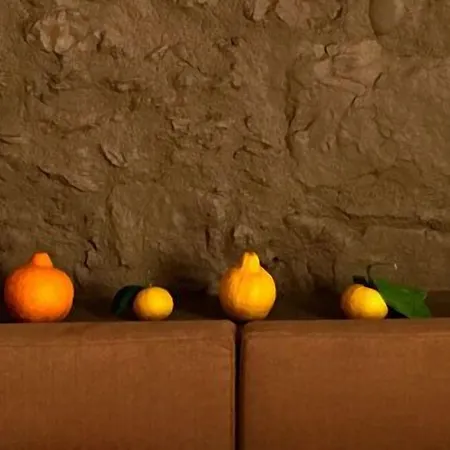 Palais La Nasse 招待所