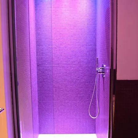 Palais La Nasse 招待所 圣雷默