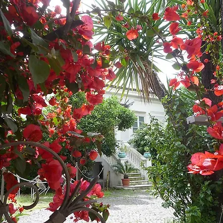 Palais La Nasse 招待所 圣雷默