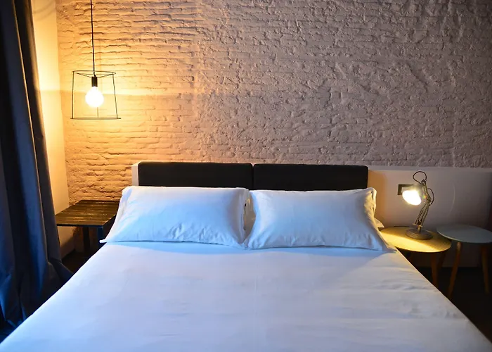 Palais La Nasse בית הארחה 4*