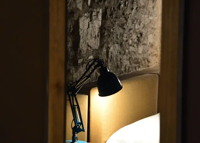 בית הארחה Palais La Nasse