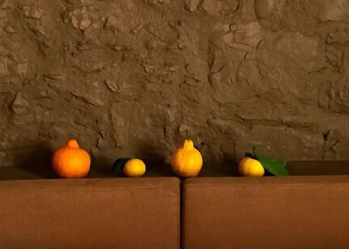 Palais La Nasse בית הארחה