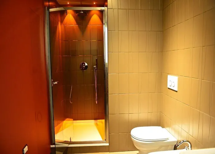 Palais La Nasse בית הארחה 4*