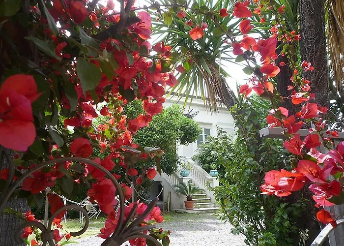 Palais La Nasse Гостьовий будинок Санремо